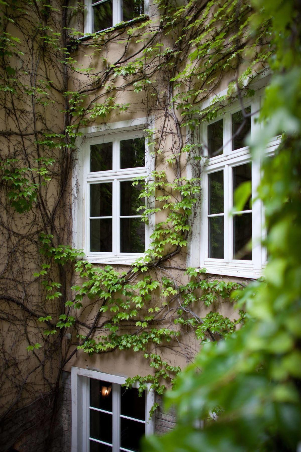 Hotel Schwalbe Vienna Exterior photo